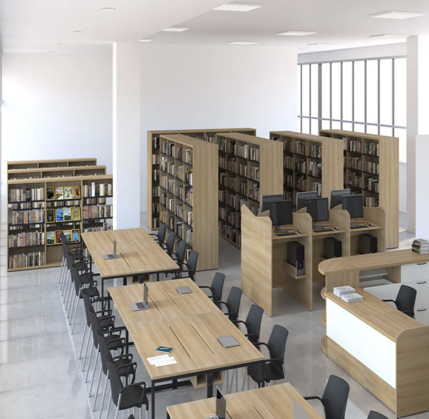 Bibliotecas y áreas de estudio