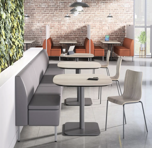 Cafeterías y comedores escolares 